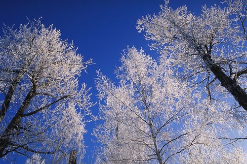 f0201297_1138323.jpg