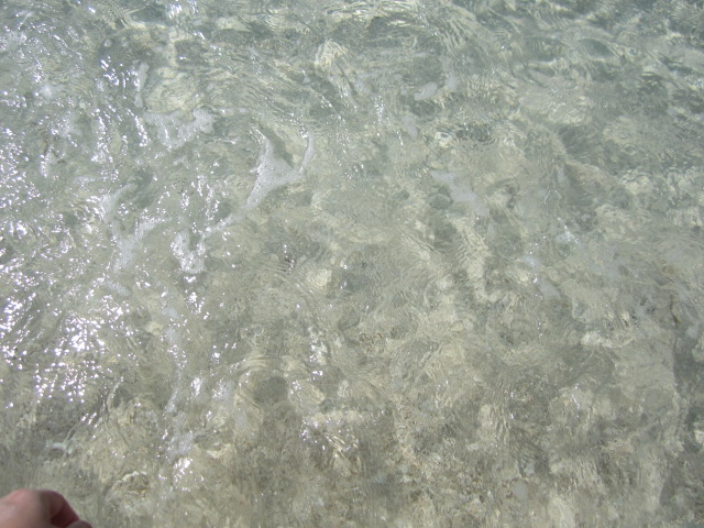 a0161409_23415464.jpg