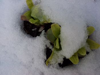c0162212_18112976.jpg