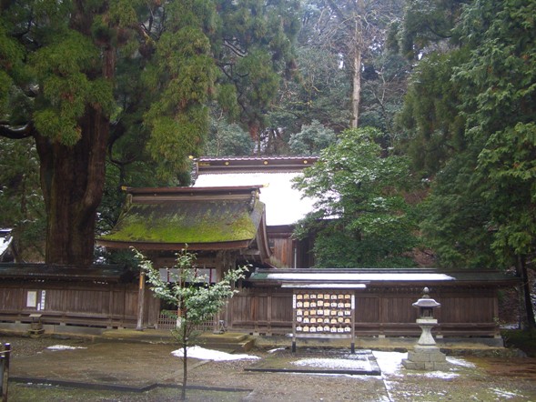 e0033713_8514997.jpg
