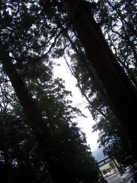 e0033713_8531890.jpg