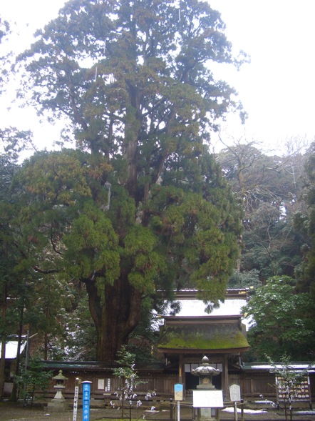 e0033713_8544331.jpg