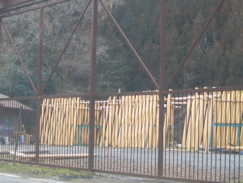 e0033713_9391971.jpg