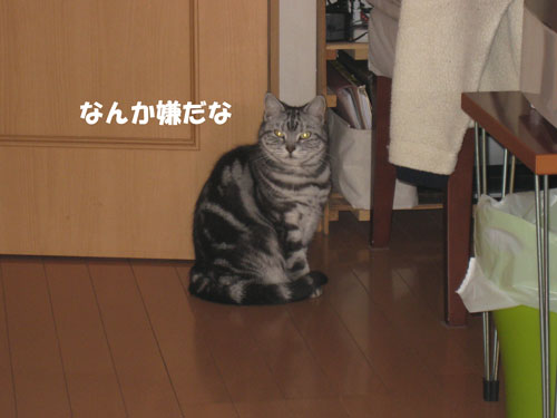 e0195115_14411848.jpg