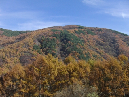 f0189715_1525358.jpg