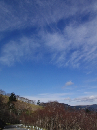 f0189715_15255229.jpg