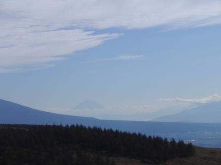f0189715_1527539.jpg