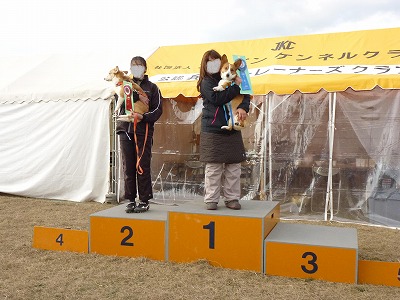 c0127617_863029.jpg
