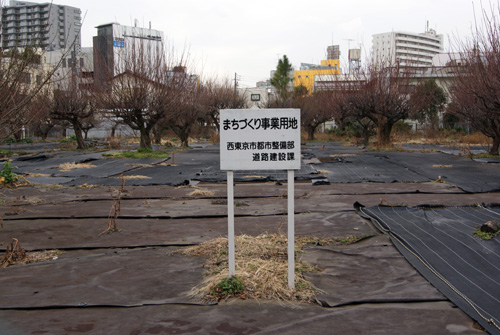 c0184125_2243872.jpg