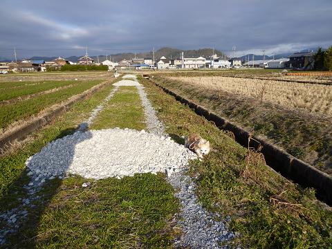 b0138430_14542568.jpg