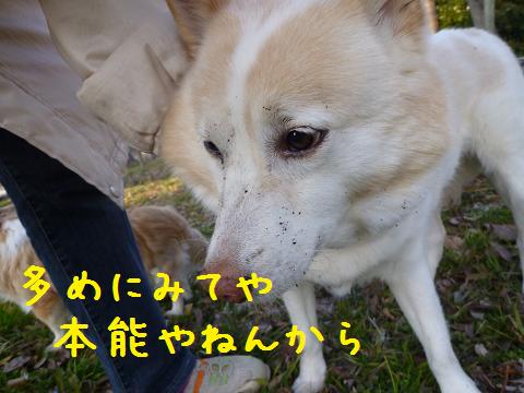 b0138430_1554083.jpg