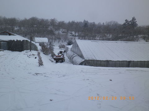 e0120932_2144816.jpg