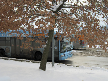 f0234936_234377.jpg