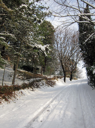 f0234936_23441315.jpg