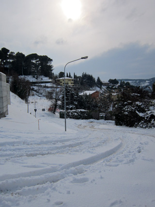 f0234936_2345174.jpg