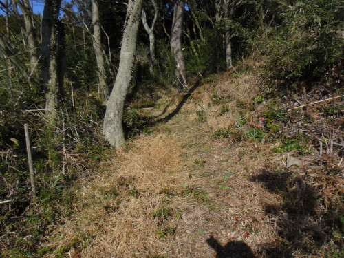 c0179351_10465537.jpg