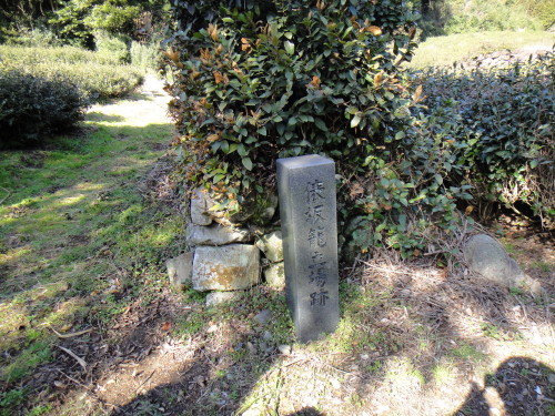 c0179351_10494266.jpg