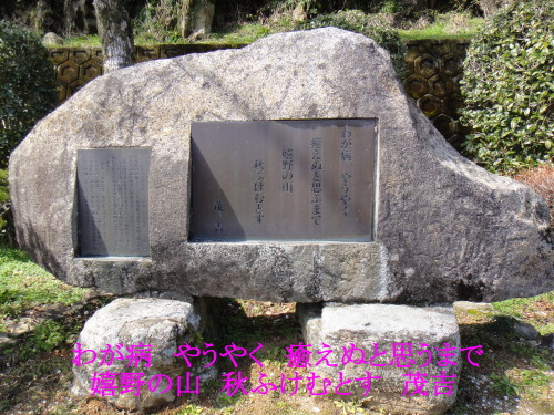 c0179351_1121260.jpg
