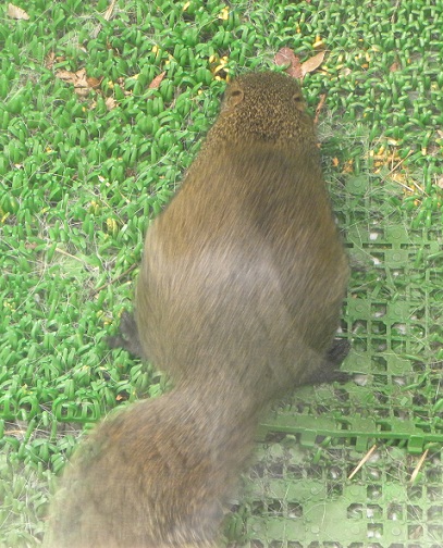b0201756_23255951.jpg
