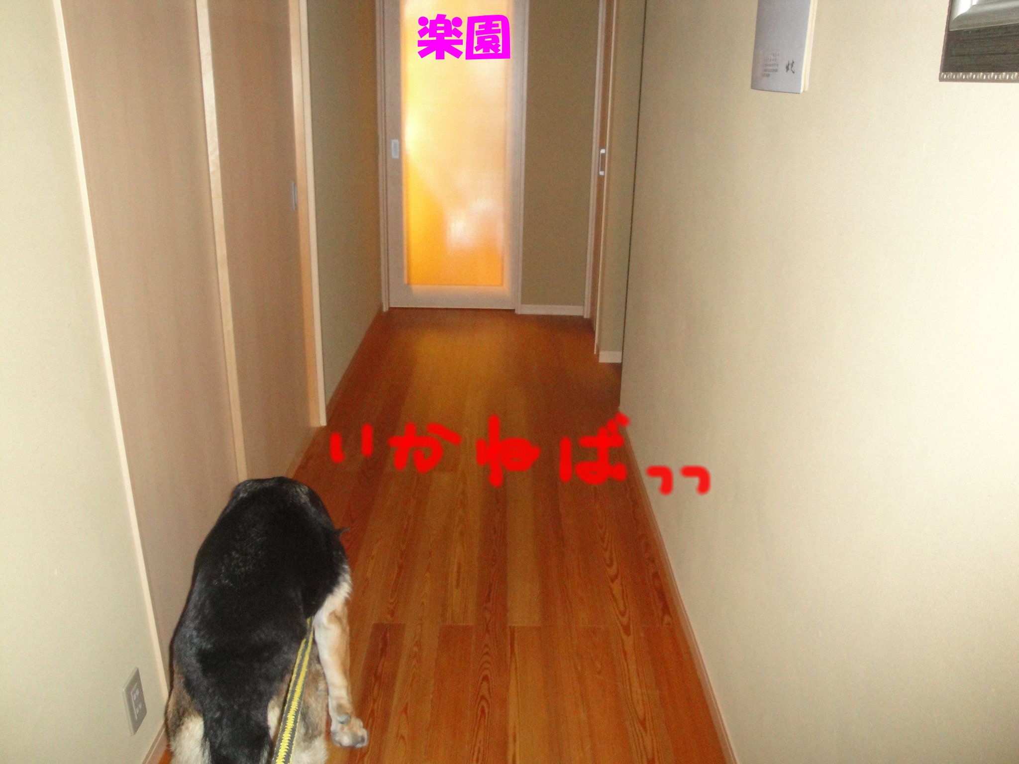 b0113663_9255362.jpg