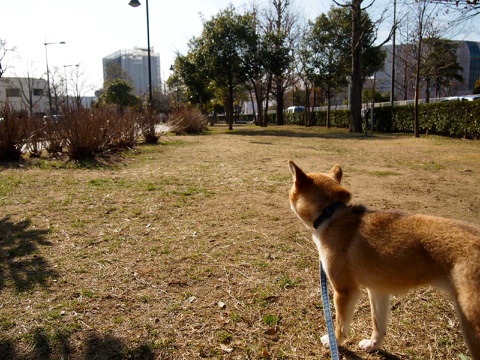 b0239176_913145.jpg