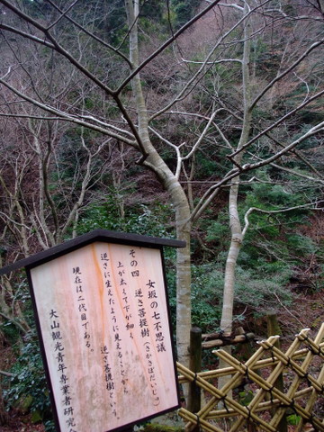 a0043982_21303574.jpg