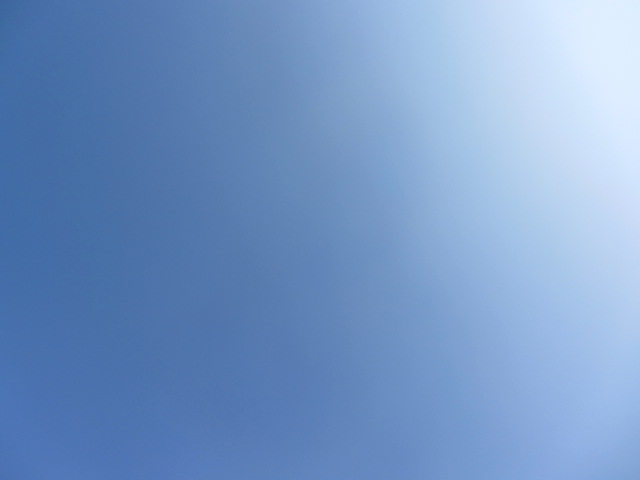 b0202185_254057.jpg
