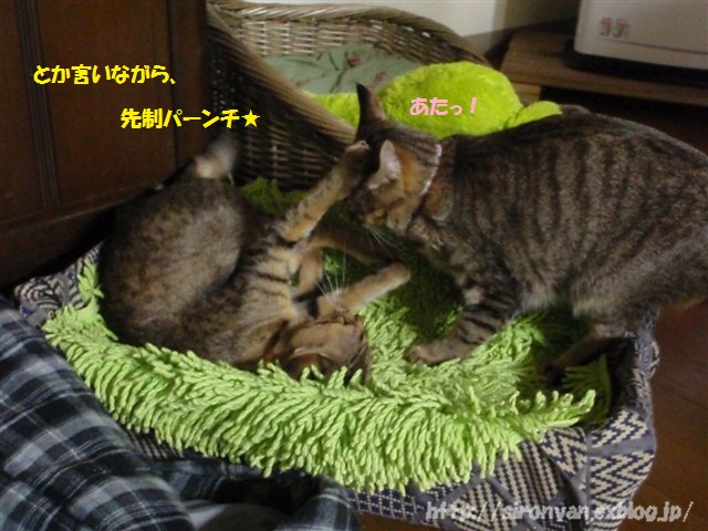 a0159490_1584865.jpg
