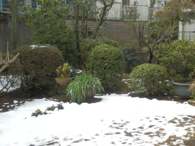 f0130894_2273582.jpg