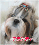 c0090198_4163451.gif