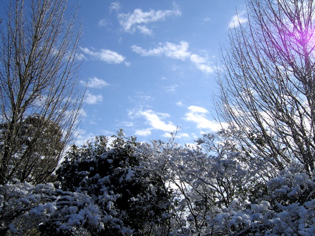 b0192199_8121611.jpg