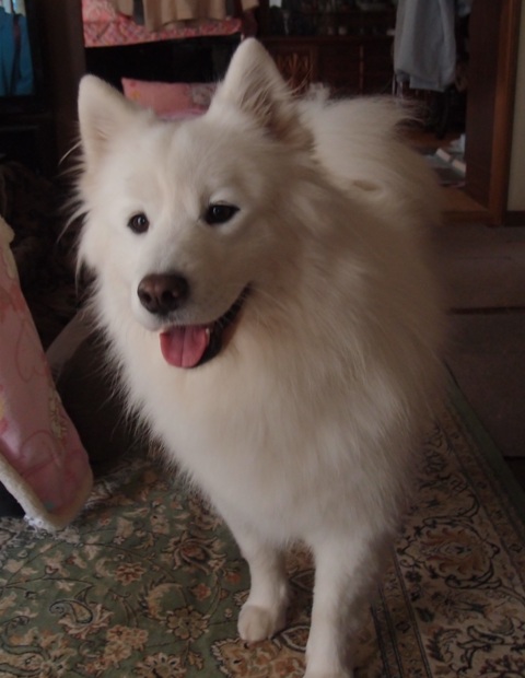 e0018604_15315350.jpg