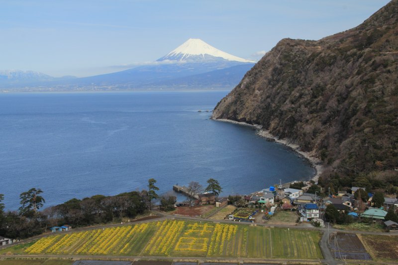 a0188405_10423116.jpg
