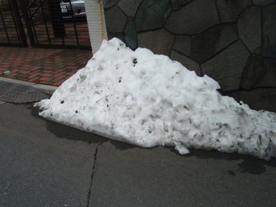 f0132230_11253951.jpg