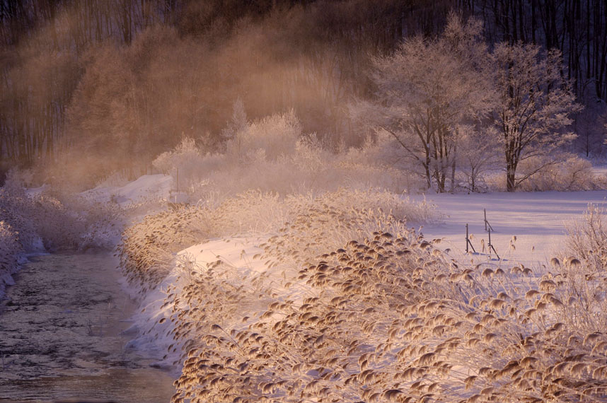 f0152939_18264099.jpg