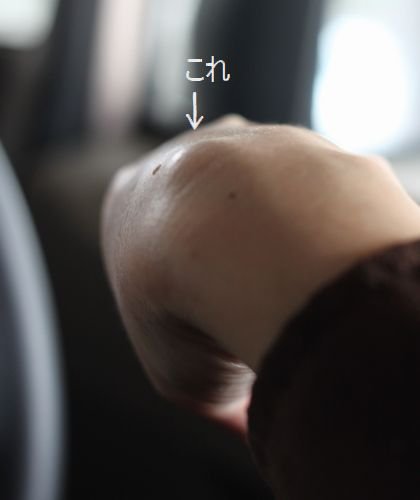 c0139375_14512176.jpg