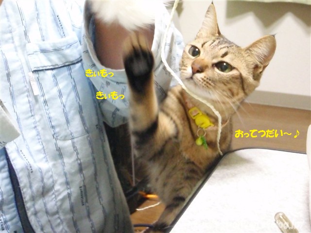 a0159490_1221359.jpg