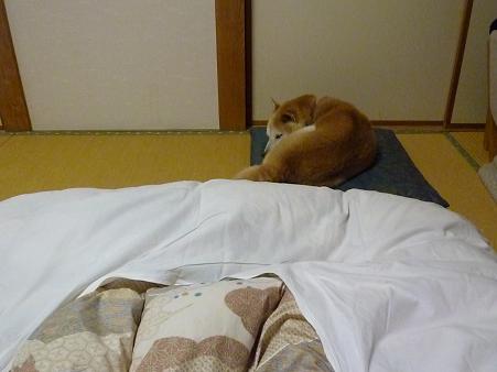 c0123890_20101723.jpg