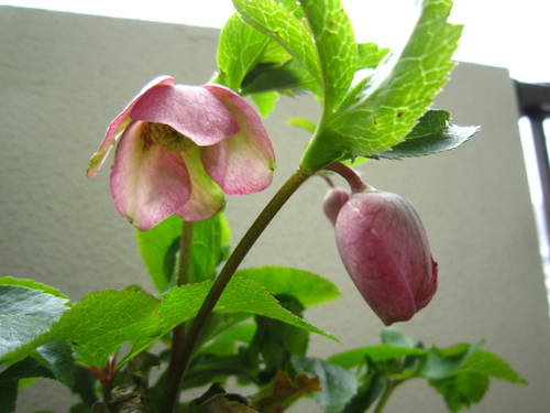 f0204295_2032971.jpg