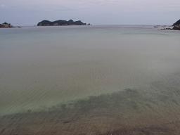 a0125598_2147482.jpg