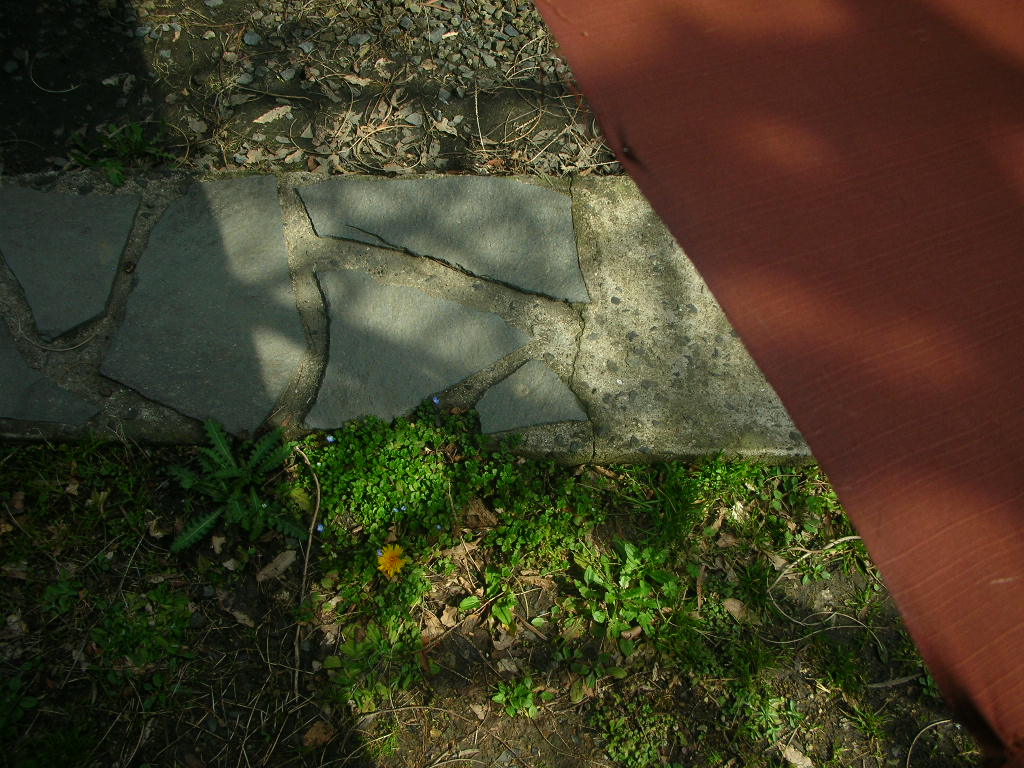 f0146802_1165398.jpg