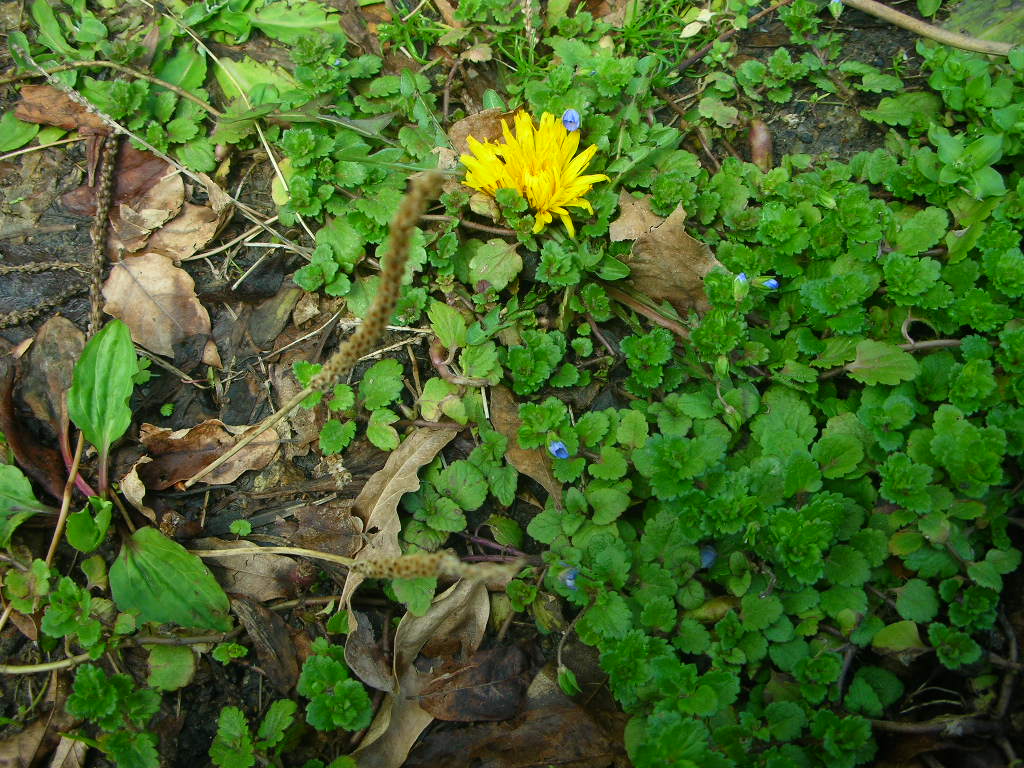 f0146802_131528.jpg