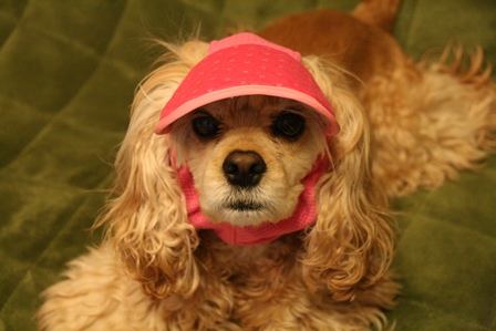 c0128303_20125228.jpg