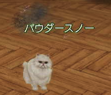 c0242805_712065.png
