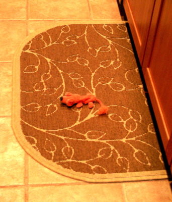 a0095115_521585.jpg