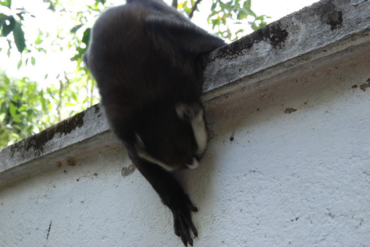 f0213817_20552013.jpg