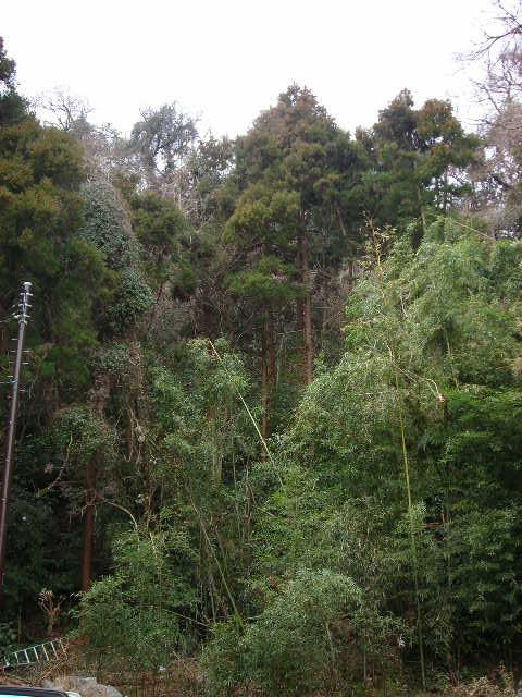 b0096418_22292465.jpg