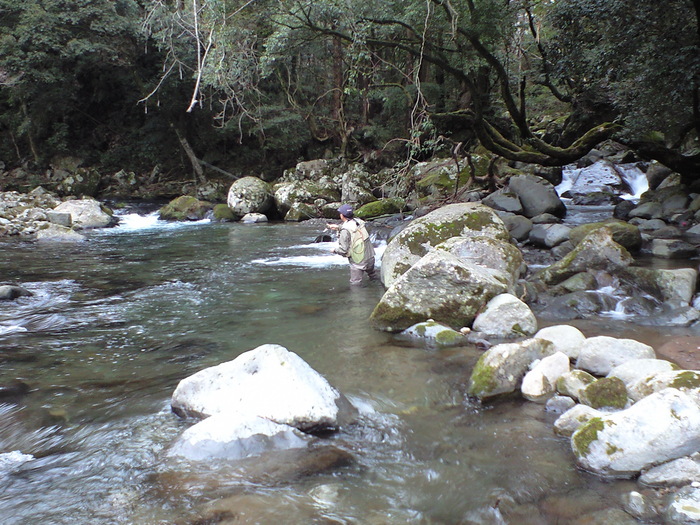 d0168318_23454152.jpg