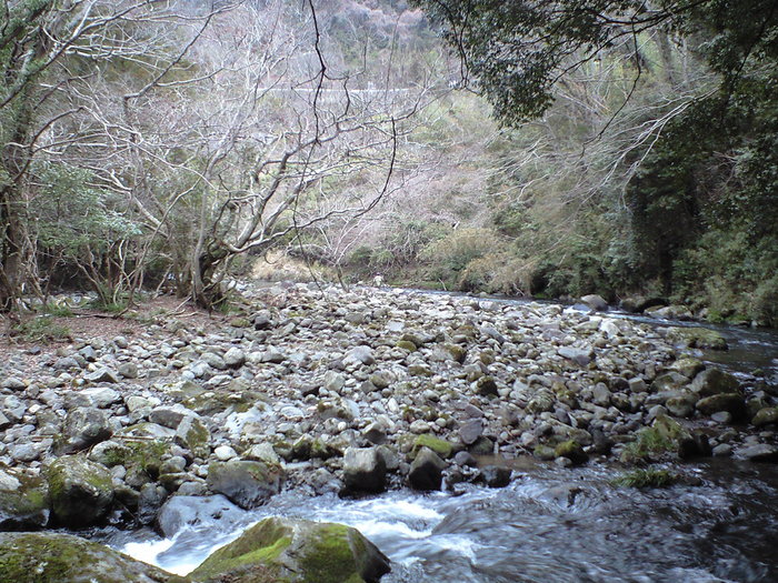 d0168318_2348571.jpg