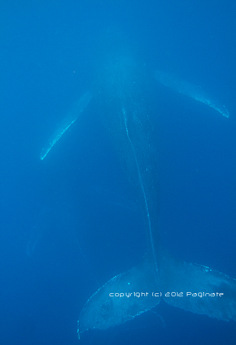 c0174019_23104010.jpg